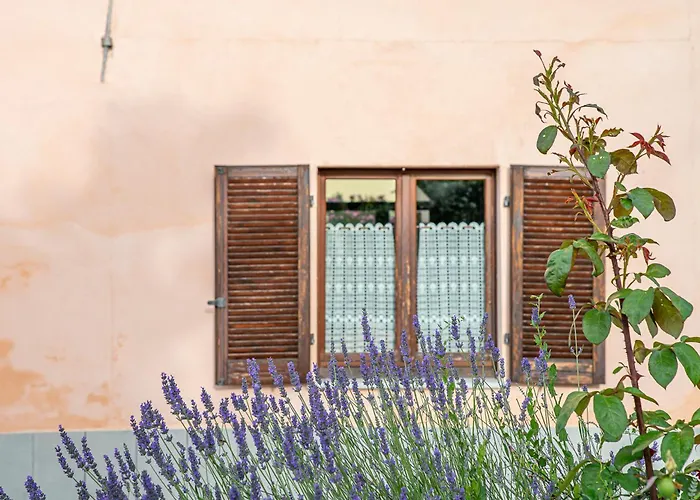 Couette-café Cantine Bevione - With Air Conditioning